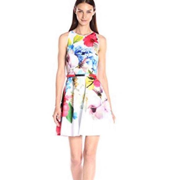 very ted baker dress
